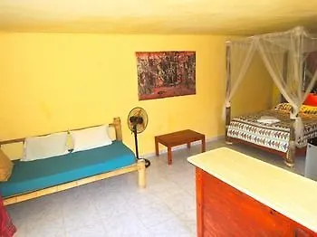 Jurassic Park Hotel Las Terrenas Dominican Republic